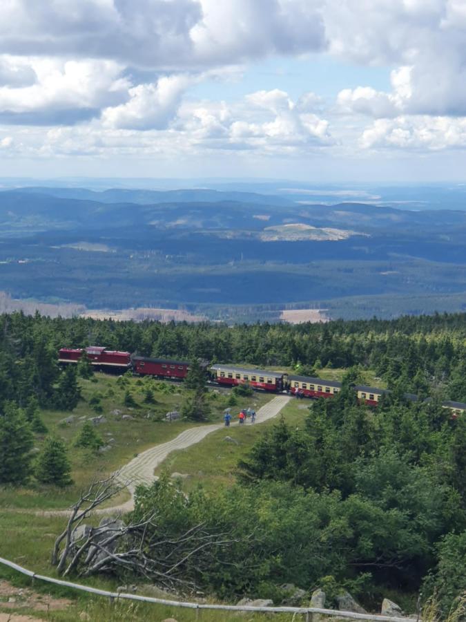 Modernisierte Ferienwohnung Naturseelen Mit Schwimmbad Und Sauna Braunlage Dış mekan fotoğraf