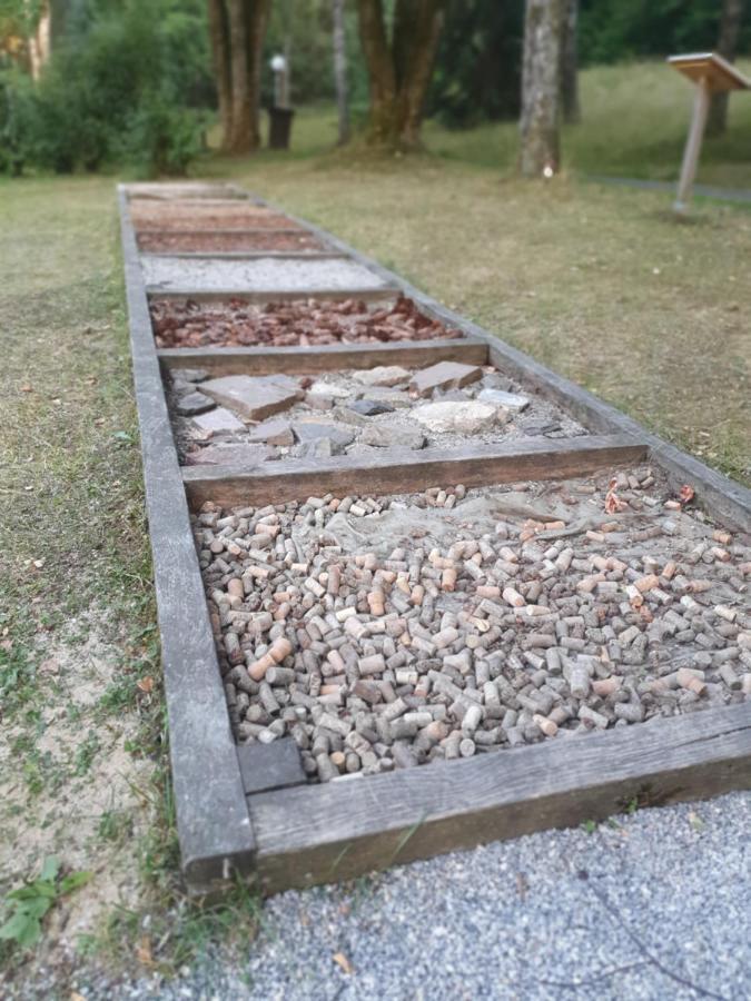 Modernisierte Ferienwohnung Naturseelen Mit Schwimmbad Und Sauna Braunlage Dış mekan fotoğraf