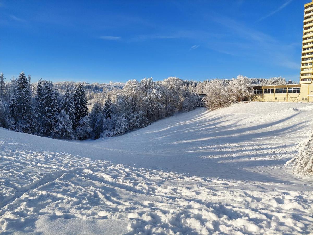 Modernisierte Ferienwohnung Naturseelen Mit Schwimmbad Und Sauna Braunlage Dış mekan fotoğraf