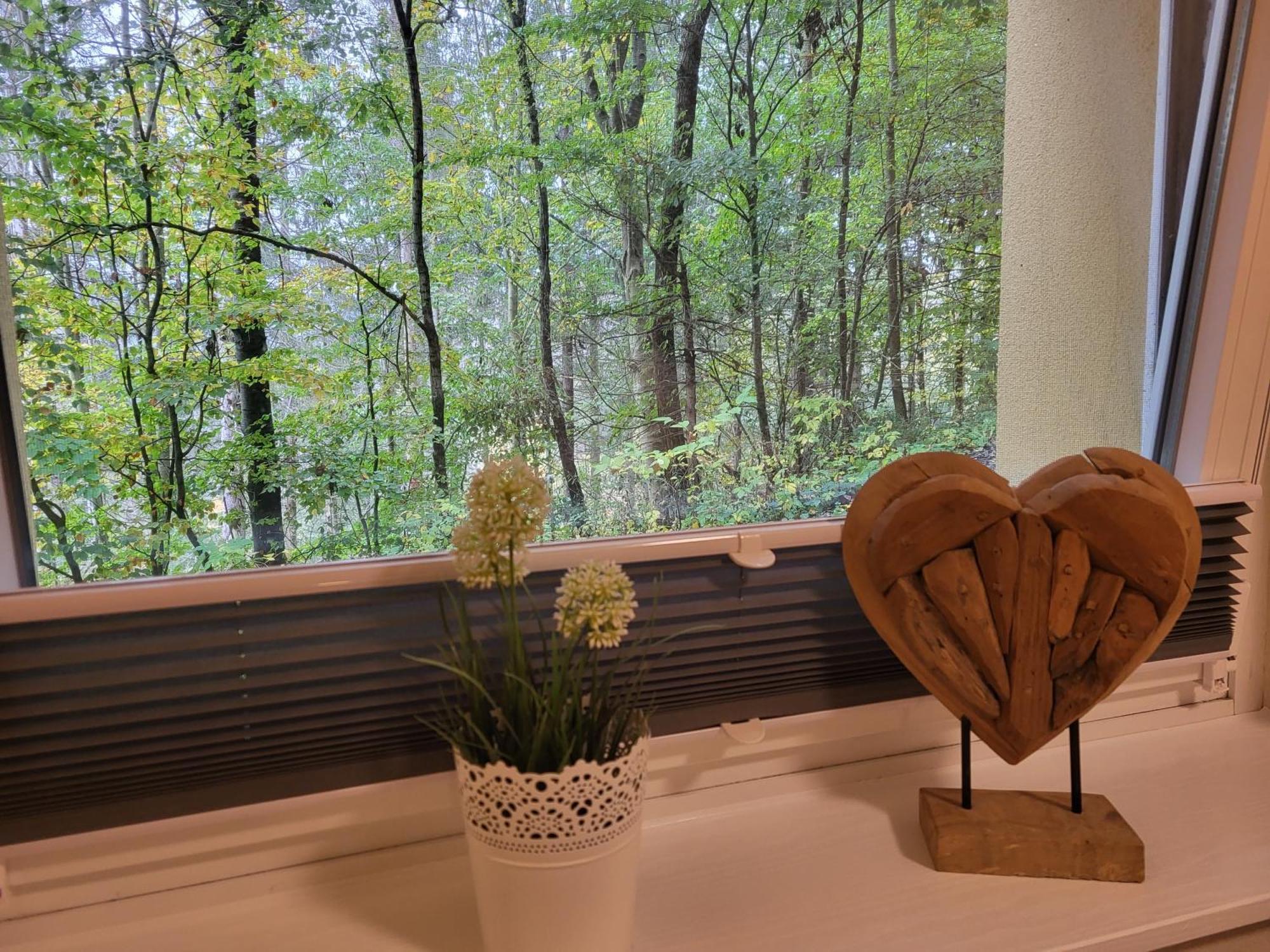 Modernisierte Ferienwohnung Naturseelen Mit Schwimmbad Und Sauna Braunlage Dış mekan fotoğraf