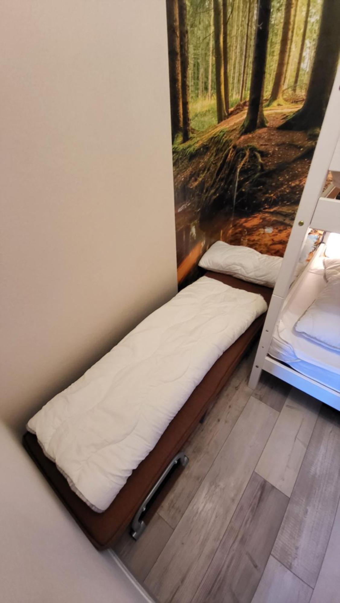Modernisierte Ferienwohnung Naturseelen Mit Schwimmbad Und Sauna Braunlage Dış mekan fotoğraf